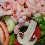 bay shrimp